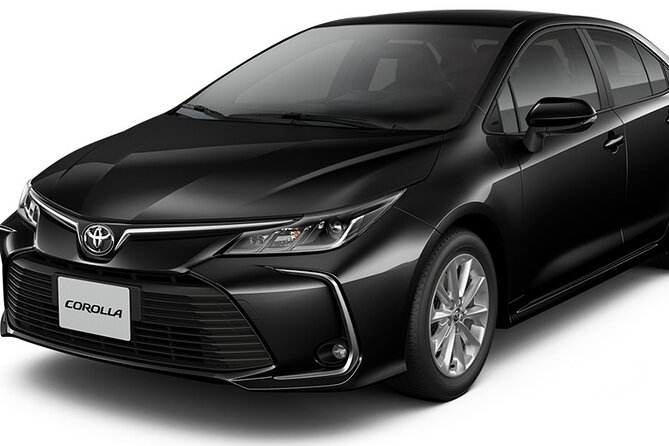 Private Transfer from Airport to the City of Madrid Round Trip - How the Transfer Works at Madrid Airport