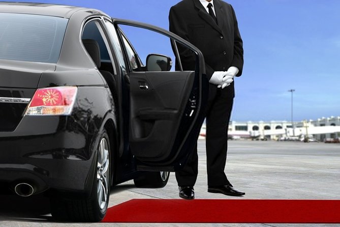 Private Transfer from Amsterdam Airport Schiphol to The Hague - Flexible Drop-Off Locations in The Hague