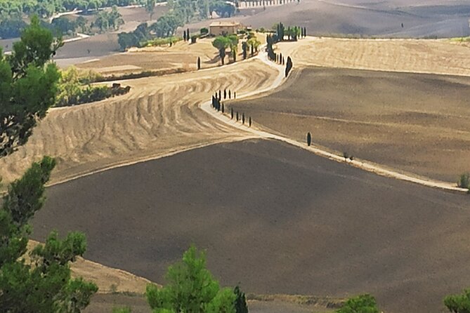 PRIVATE TRANSFER: from Assisi to Florence with stops in Cortona & Montepulciano - Discovering the Artistic Charm of Cortona