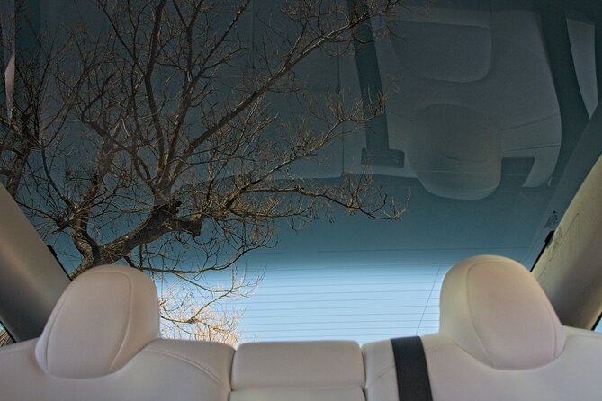 Private Transfer from Athens City to Athens Airport with Tesla - Flexibility and Ease of Booking with Mobile Tickets