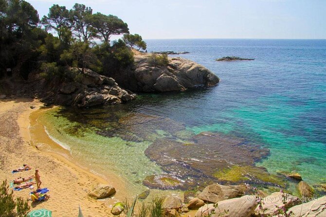 Private Transfer from Barcelona Airport to Platja d'Aro - Accessibility and Suitability for Different Travelers