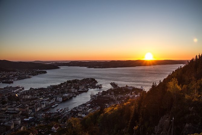 Private Transfer From Bergen Airport to City Centre - Handling Flight Delays and No-Shows