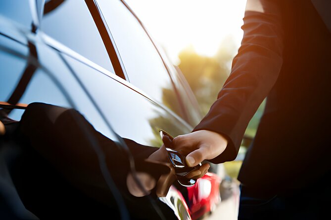 Private Transfer from Catania to Ragusa with Tour options - The Review Highlights: Safety, Comfort, and Professional Service