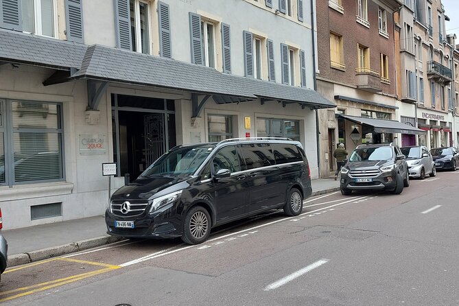 Private transfer from CDG or ORY airport to DisneyLand Paris - Potential Drawbacks and Considerations