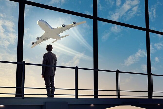 Private Transfer from Charle de Gaulle Airport to Paris - Key Points