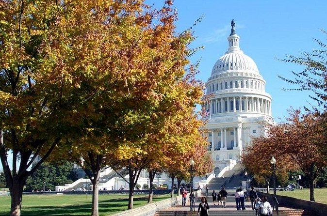 Private Transfer from Dulles Intl Airport to Washington DC - Flexibility with Cancellation and Weather Considerations