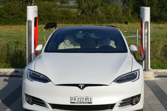 Private transfer from Interlaken to Zurich Airport - What Makes the Interlaken to Zurich Airport Transfer Stand Out