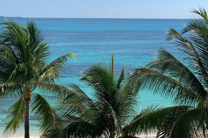 Private Transfer from La Paz to Cabo San Lucas - Booking, Cancellation, and Customer Experience