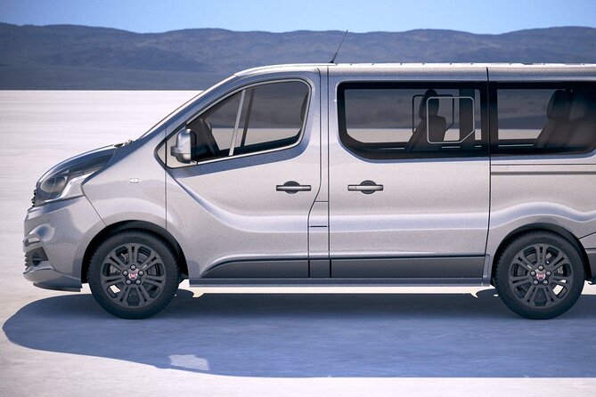 Private Transfer from Lourdes Airport LDE to Lourdes City by Van - Comfortable Business Van for Up to 8 Passengers