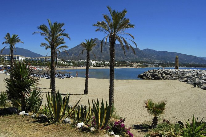 Private Transfer from Malaga airport (AGP) to Fuengirola - Meeting Point at Malaga Airport for a Smooth Start