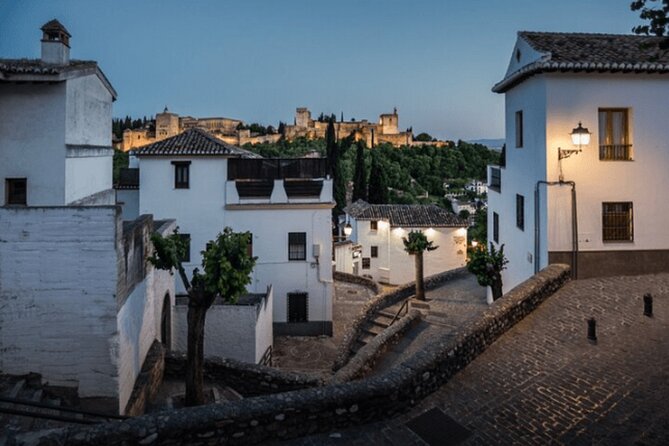 Private transfer from Málaga Hotels to Granada - Key Points