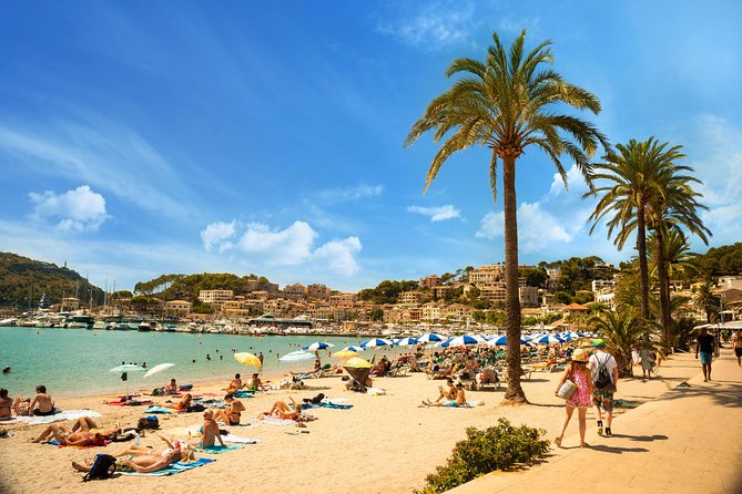 Private Transfer from Mallorca airport (PMI) to Magaluf - Additional Transportation Options in Mallorca