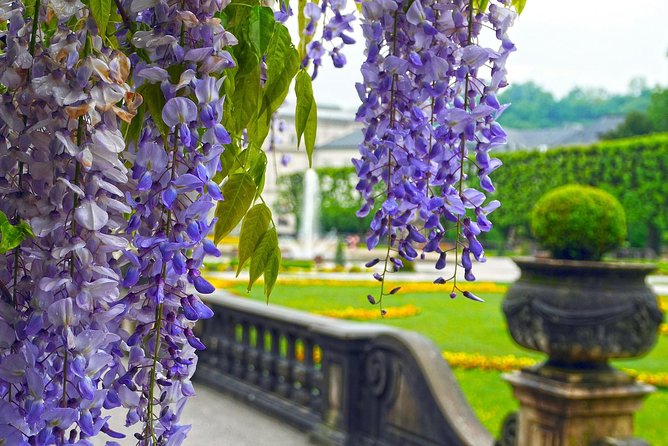 Private Transfer from Munich to Salzburg, English-speaking driver - Booking in Advance and Cancellation Policy