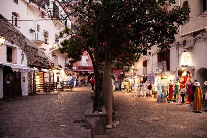 Private transfer from Naples to Positano or vice versa - Final Thoughts on the Naples-Positano Private Transfer