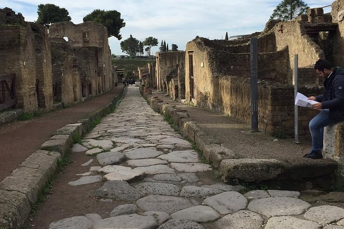 Private Transfer from Naples to Positano or viceversa including 2 hrs stop in Pompeii - Flexibility and Customization of the Tour