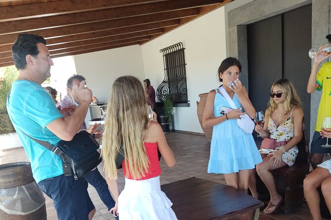 Private Transfer from Naples to Praiano - Ideal for Early Arrivals, Late Flights, or Flexible Schedules