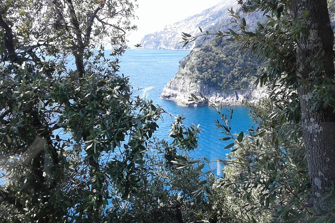 Private Transfer From Naples to Ravello/Sorrento stop at Pompeii - Comfortable and Private Transportation in a Mercedes Vehicle