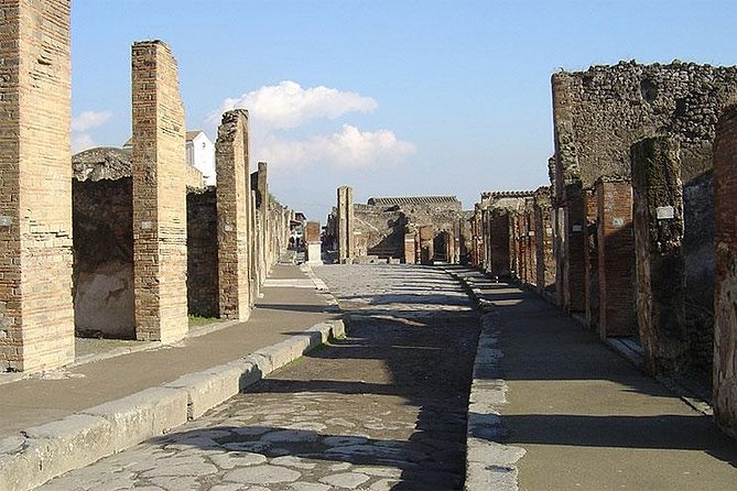 Private Transfer from Naples to Sorrento with Stop at Pompeii - Who Should Choose This Tour?