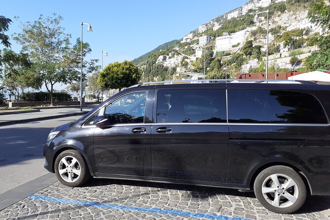 Private transfer from Napoli to Rome - Cancellation Policy and Flexibility