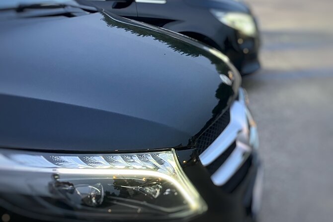 Private transfer from Napoli to Sorrento with stopover in Pompeii ruins - Lounge in Comfort on a Private Naples to Sorrento Transfer with Pompeii Stop