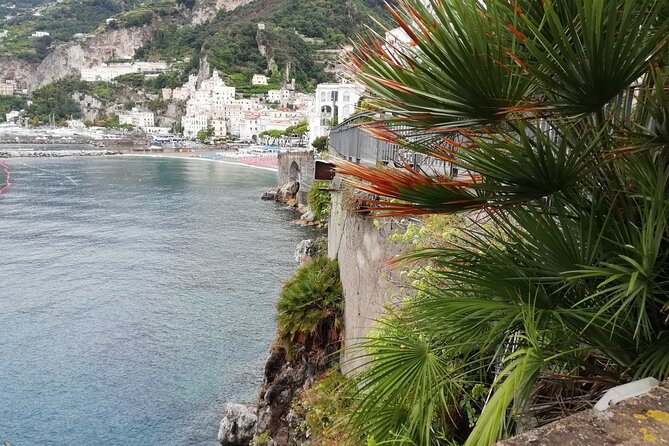 Private transfer from Napoli to Sorrento with stopover in Pompeii ruins - Optional Guided Tour of Pompeii Available