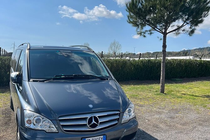 Private Transfer from Positano to Naples Airport - Why Choose This Private Transfer?