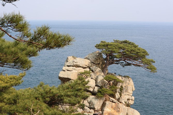 Private Transfer from Pula to Split with 2 hours for sightseeing - Final Thoughts on the Pula to Split Private Transfer