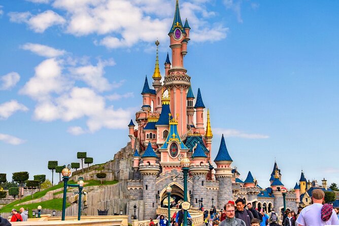 Private Transfer from Roissy CDG Airport to Disneyland Paris - Accessibility and Special Needs Considerations