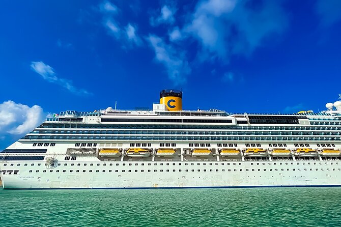 Private Transfer from Rome to Civitavecchia Cruise Port - What Makes the Driver Experience Stand Out