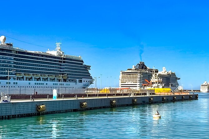 Private Transfer from Rome to Civitavecchia Cruise Port - The Reliability and Trustworthiness of the Service