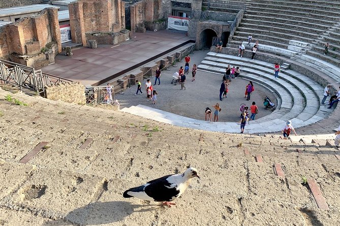 Private transfer from Rome to Sorrento with stop in Pompeii (2hours) - Key Points