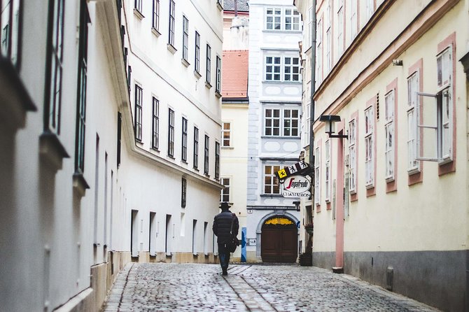 Private transfer from Salzburg to Vienna with 4h of Sightseeing - Practical Benefits of This Transfer and Sightseeing Package