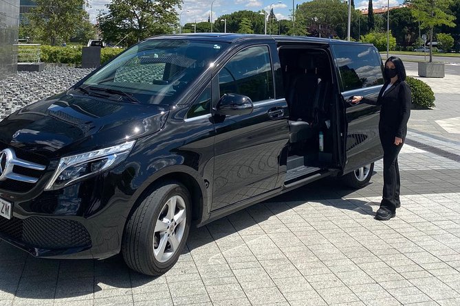 Private Transfer from/to Rome Termini to/from Rome hotel - Pricing and Booking Flexibility