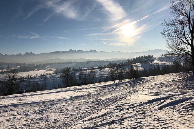 Private Transfer from/to the Krakow Airport - Pricing and Value for Small Groups