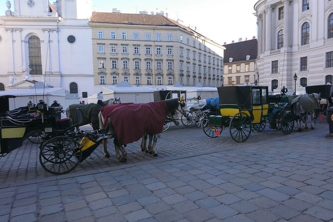 Private Transfer from Venice to Vienna or Vienna to Venice - Key Points