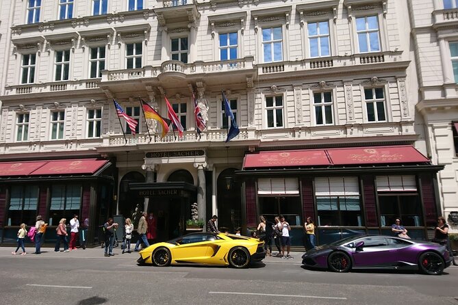 Private Transfer from Venice to Vienna or Vienna to Venice - Customer Satisfaction and Positive Feedback