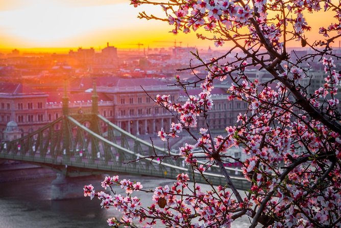 Private Transfer from Vienna to Budapest with 2 hours for sightseeing - Flexible Sightseeing Stops: One or Two Places