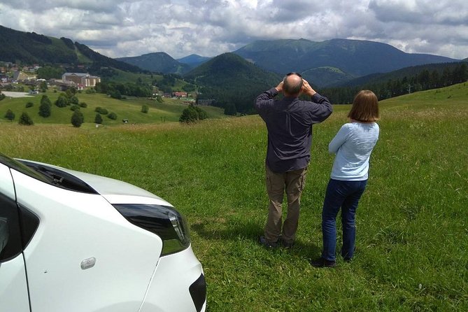 Private transfer in a Sanitized Car Prague to Vienna with 2h stop Cesky Krumlov - Price and Value for Money