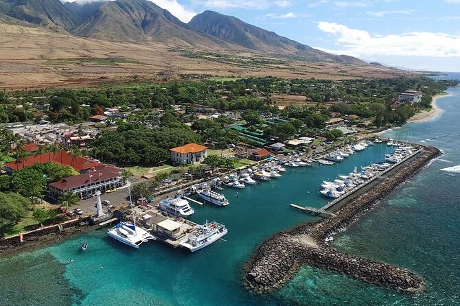 Private Transfer Kahului Airport OGG to Maui Kihei Lahaina Wailea - Service Quality and Customer Feedback