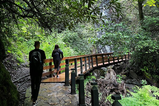 Private Transfer: Kutaisi Airport to Batumi - The Vehicle Fleet and Comfort Features