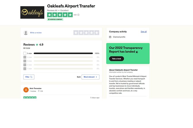 Private Transfer London & Southampton - Cruise Terminal or Hotel - Who Should Consider This Transfer Service?