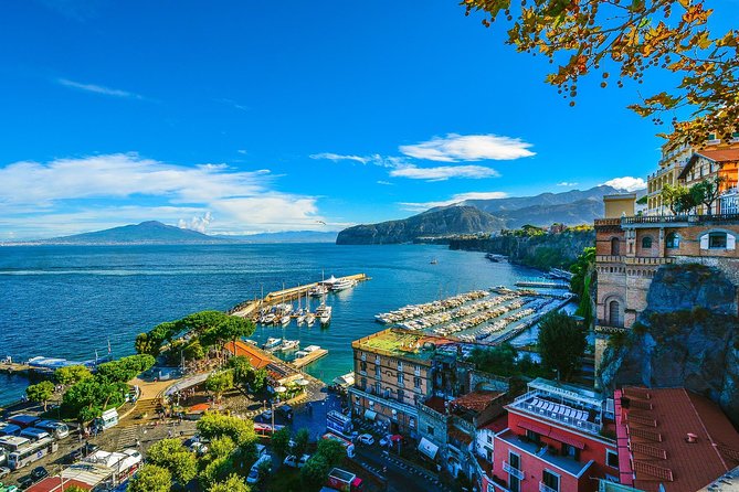 Private Transfer: Naples to Sorrento, 2h in Vesuvius or Pompeii - The Experience of the Driver and Overall Service Quality