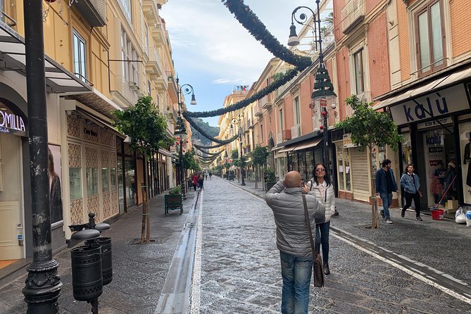 Private Transfer Naples to Sorrento stop to Pompeii and Pizza - The Pompeii Stop: A 3-Hour Private Guided Tour