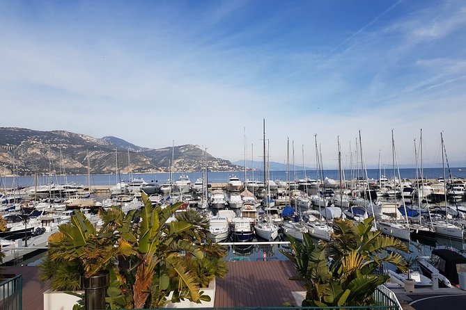 Private Transfer Nice Airport to Beaulieu-sur-Mer or Cap-Ferrat - Accessibility and Additional Service Features