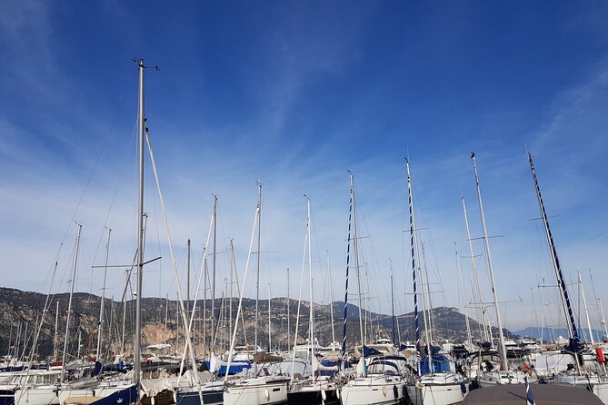 Private Transfer Nice Airport to Beaulieu-sur-Mer or Cap-Ferrat - Who Should Consider This Transfer Service?