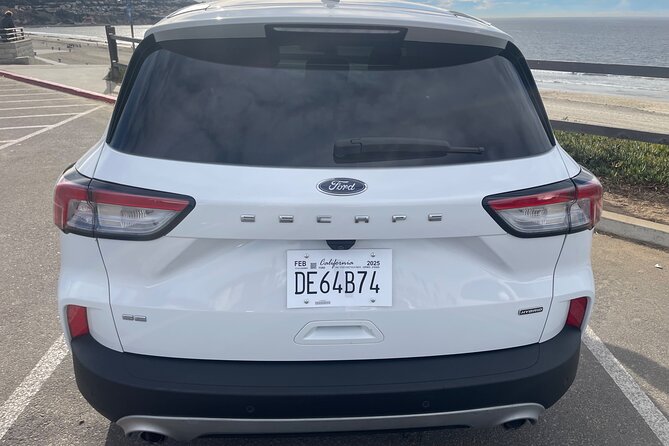 Private transfer on the LAX Airport in Los Angeles - Accessibility and Additional Information