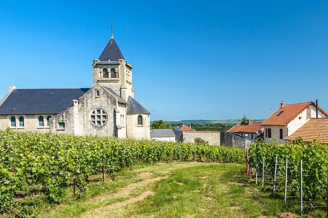 Private Transfer: Paris Airport CDG to Reims / Champagne by Van - Who Will Appreciate This Transfer Service Most?