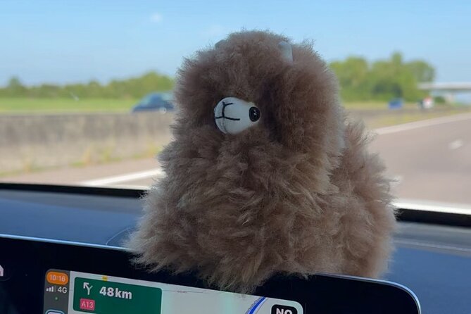 Private Transfer Paris from and to Airport (CDG, Orly, Beauvais) - Convenient and Comfortable Airport Transfers in Paris for Up to 3 People