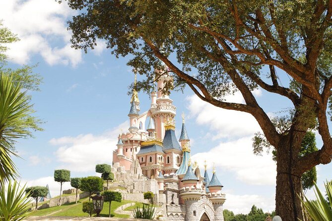 Private Transfer: Paris to Disneyland Park or Hotel by Luxury Van - Smooth and Stylish Transfer from Paris to Disneyland Paris in a Luxury Van