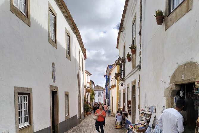 Private Transfer Porto to Lisbon with Nazaré and Óbidos Stops - Who Should Choose This Private Transfer?